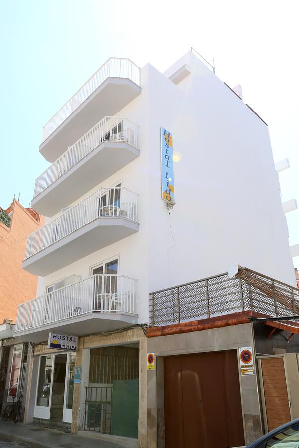 Sb Arenal Palma